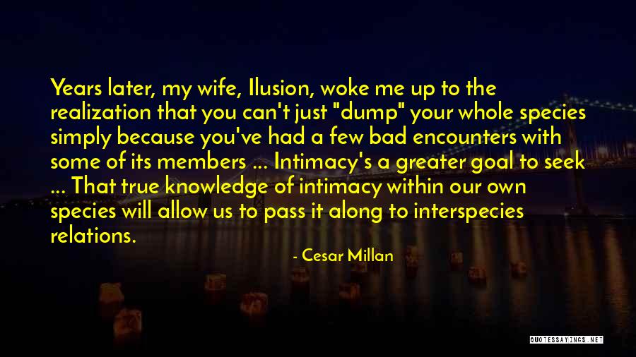 Show Me Some Love Quotes By Cesar Millan Show Me Some Love Quotes By Cesar Millan