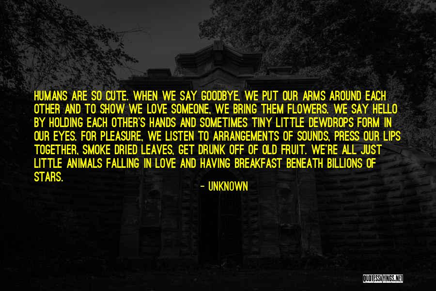 Show Off Love Quotes By Unknown Show Off Love Quotes By Unknown