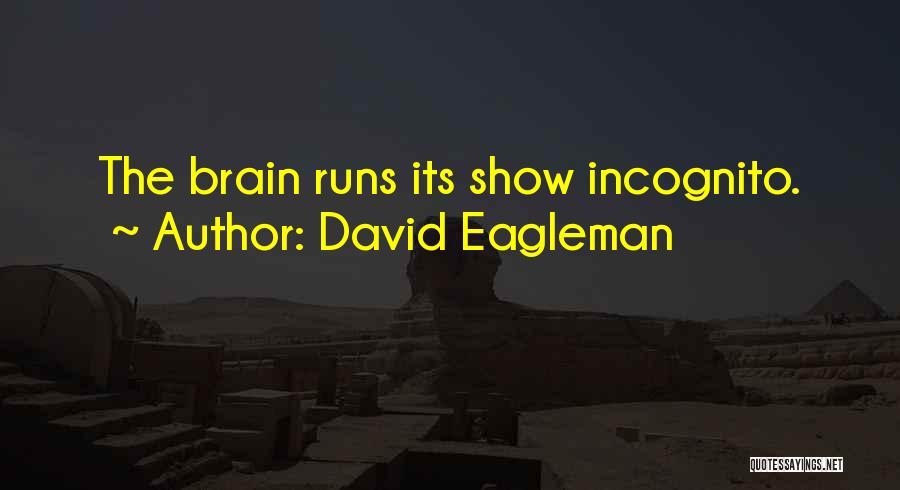 Show The Quotes By David Eagleman