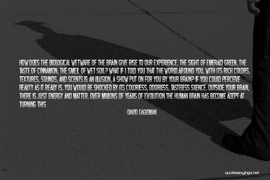 Show You Off To The World Quotes By David Eagleman Show You Off To The World Quotes By David Eagleman