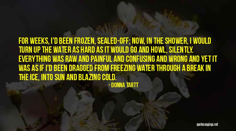 Shower If Quotes By Donna Tartt Shower If Quotes By Donna Tartt
