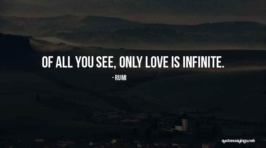 Showered Attention Quotes By Rumi