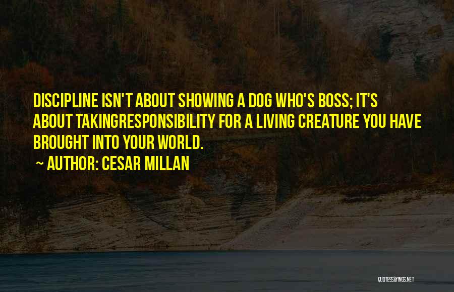 Showing Animals Quotes By Cesar Millan