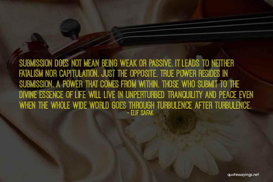 Showplace 8 Quotes By Elif Safak Showplace 8 Quotes By Elif Safak