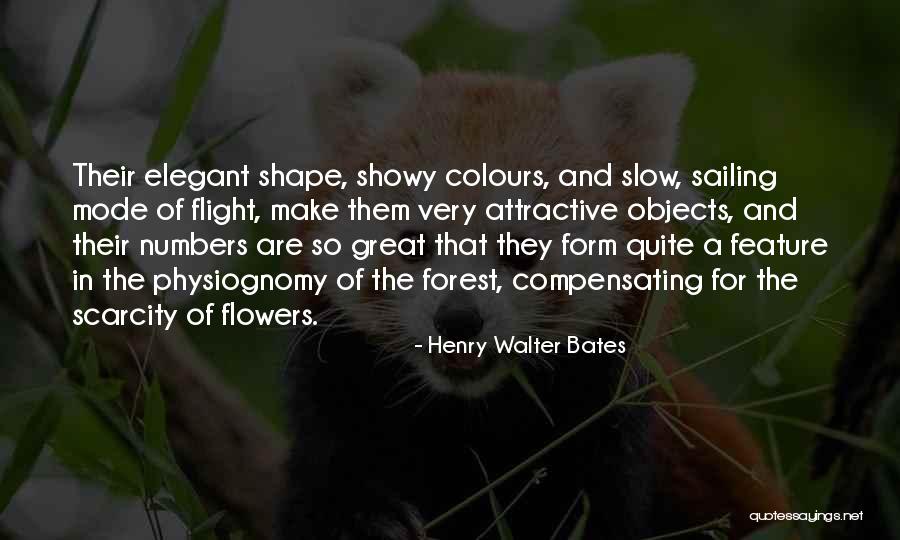 Showy Quotes By Henry Walter Bates Showy Quotes By Henry Walter Bates