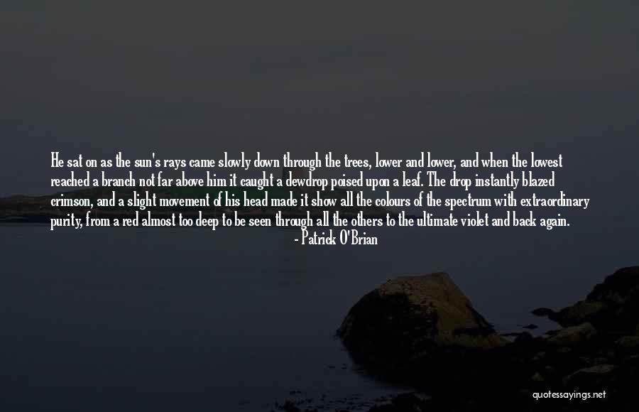 Shqiprim Arifi Quotes By Patrick O'Brian Shqiprim Arifi Quotes By Patrick O'Brian