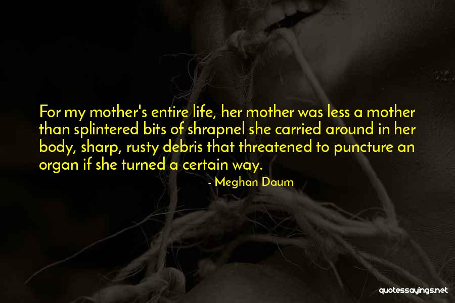 Shrapnel Quotes By Meghan Daum Shrapnel Quotes By Meghan Daum