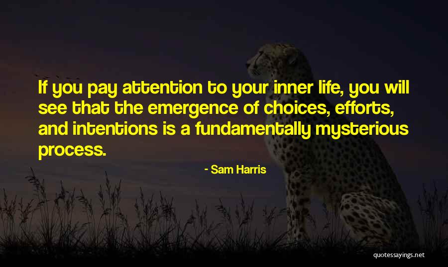 Shreedhar Singer Quotes By Sam Harris Shreedhar Singer Quotes By Sam Harris