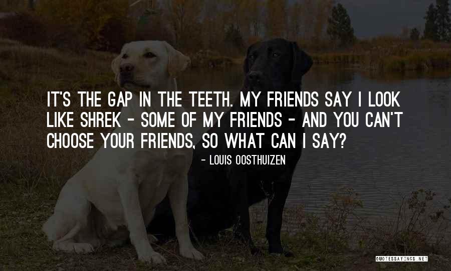 Shrek 2 Quotes By Louis Oosthuizen Shrek 2 Quotes By Louis Oosthuizen