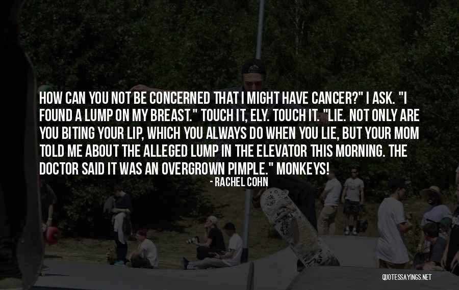 Shreves Quotes By Rachel Cohn Shreves Quotes By Rachel Cohn