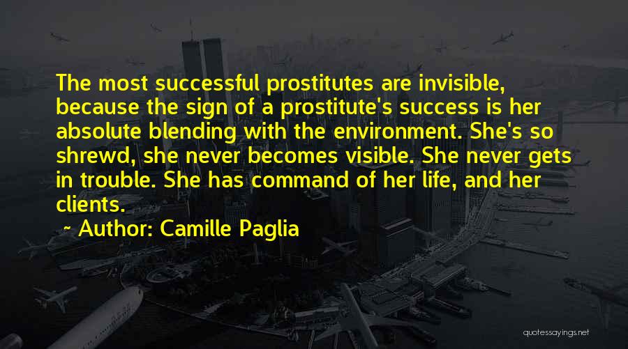 Shrewd Quotes By Camille Paglia