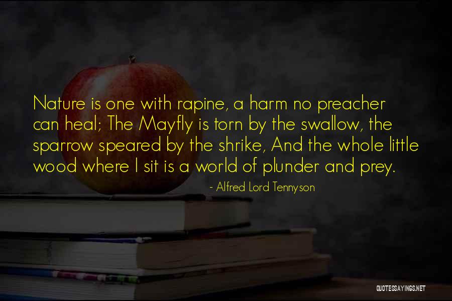 Shrike Quotes By Alfred Lord Tennyson Shrike Quotes By Alfred Lord Tennyson