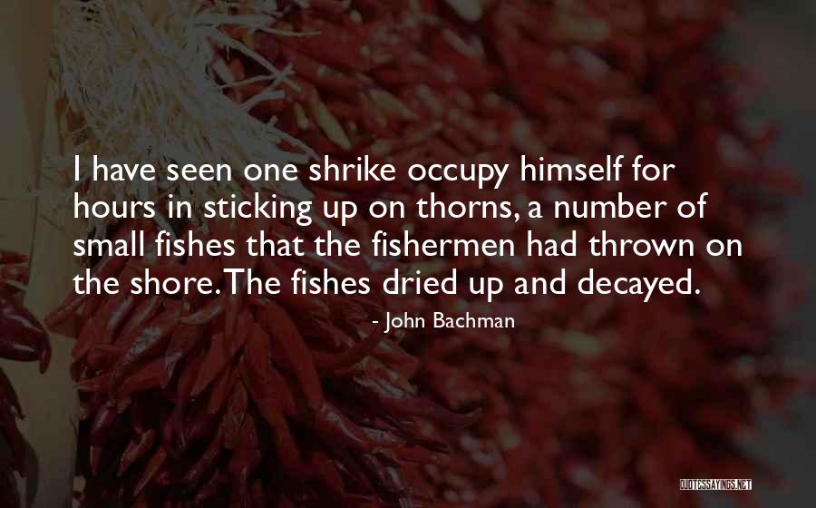 Shrike Quotes By John Bachman Shrike Quotes By John Bachman