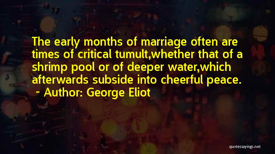 Shrimp Quotes By George Eliot