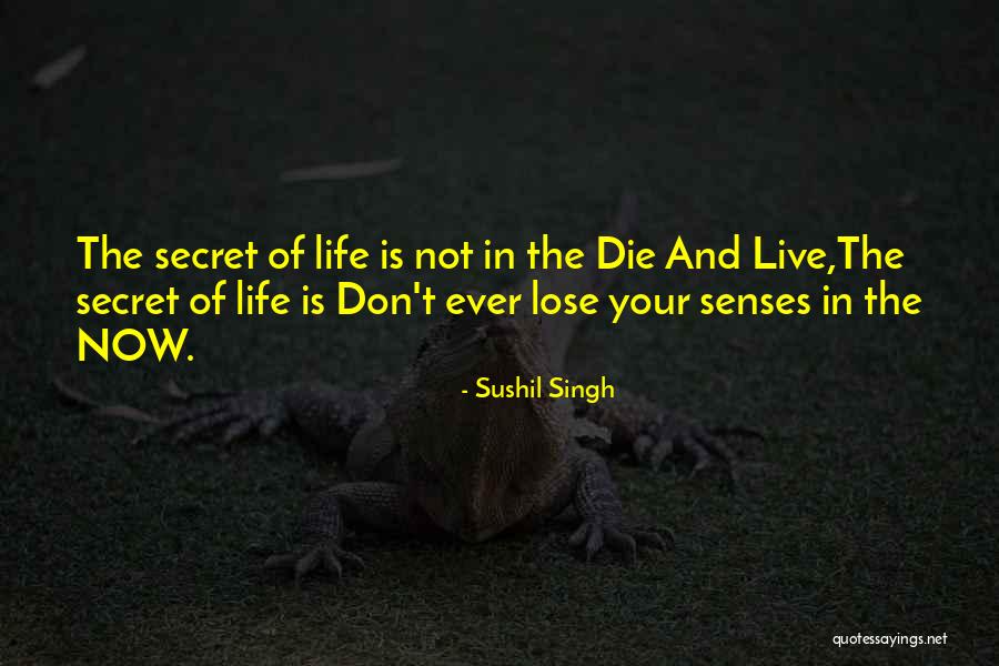 Shrimps And Prime Quotes By Sushil Singh Shrimps And Prime Quotes By Sushil Singh