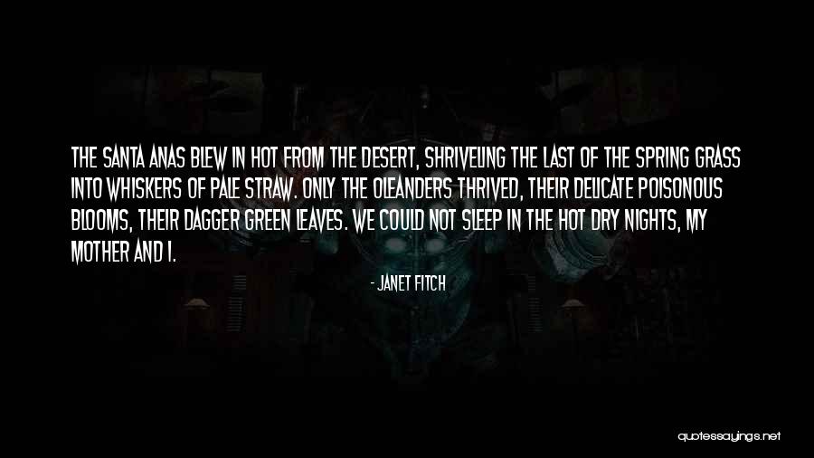 Shriveling Leaves Quotes By Janet Fitch Shriveling Leaves Quotes By Janet Fitch