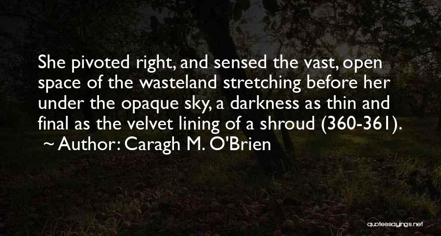 Shroud Quotes By Caragh M. O'Brien