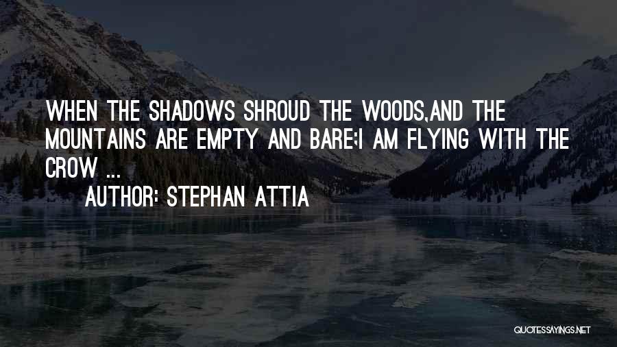 Shroud Quotes By Stephan Attia