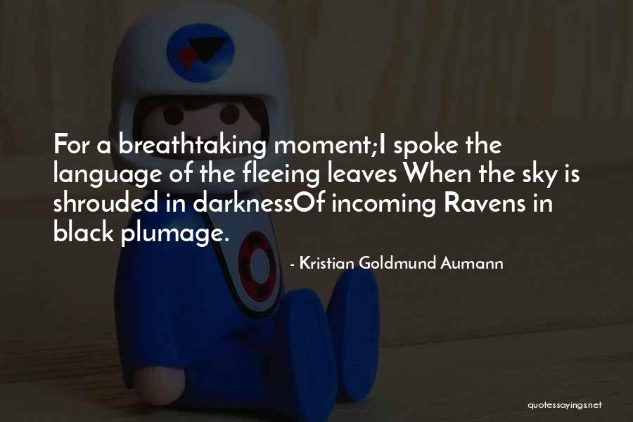 Shrouded In Darkness Quotes By Kristian Goldmund Aumann Shrouded In Darkness Quotes By Kristian Goldmund Aumann