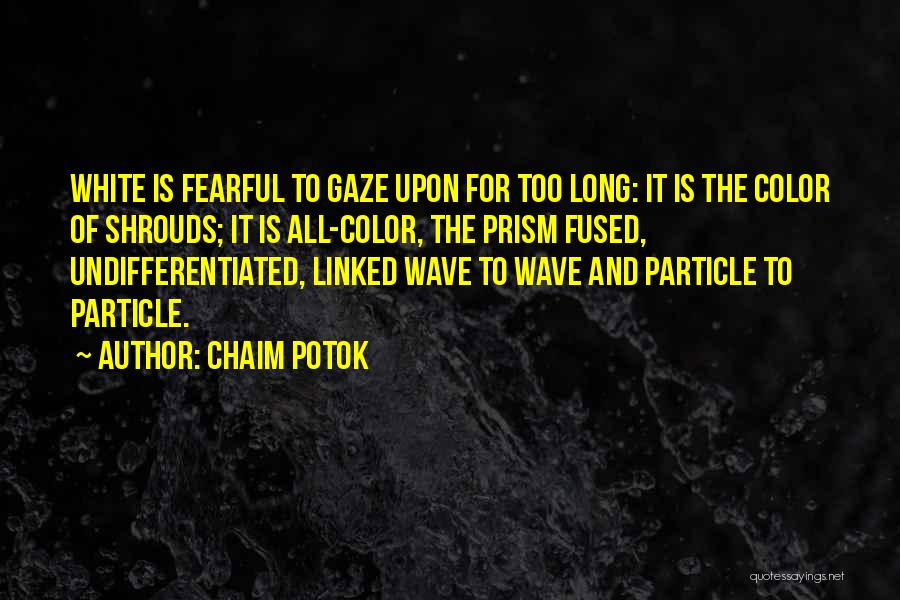 Shrouds Quotes By Chaim Potok