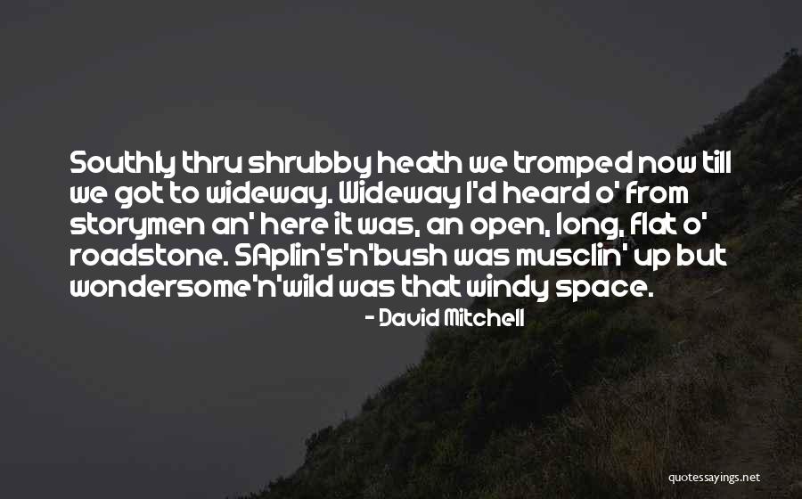 Shrubby Quotes By David Mitchell Shrubby Quotes By David Mitchell
