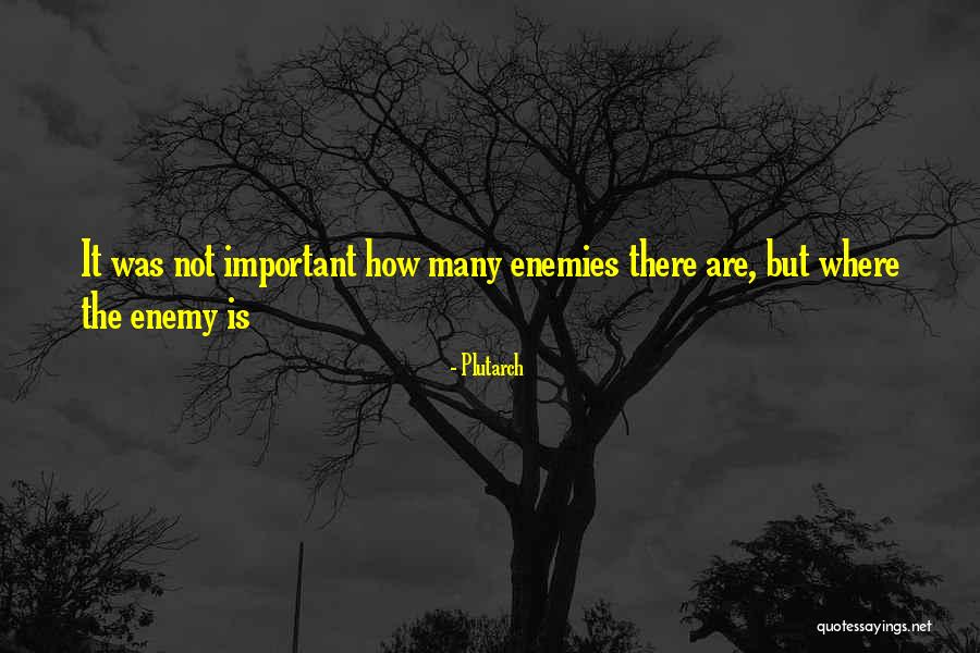 Shrubs For Full Quotes By Plutarch
