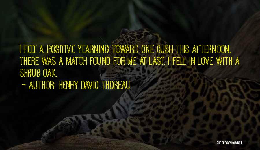 Shrubs Quotes By Henry David Thoreau