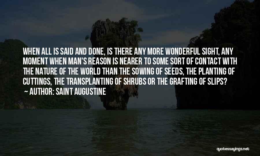 Shrubs Quotes By Saint Augustine