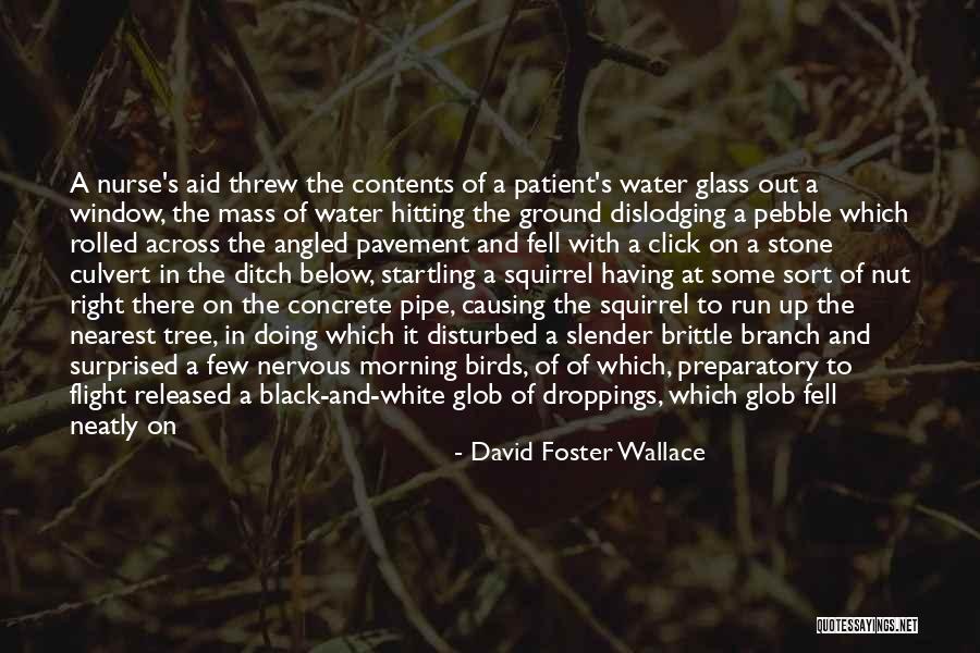 Shrubs With Purple Quotes By David Foster Wallace Shrubs With Purple Quotes By David Foster Wallace