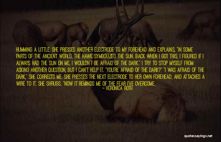 Shrugs Quotes By Veronica Roth Shrugs Quotes By Veronica Roth