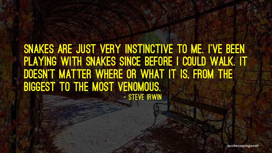 Shtylla Betoni Quotes By Steve Irwin Shtylla Betoni Quotes By Steve Irwin