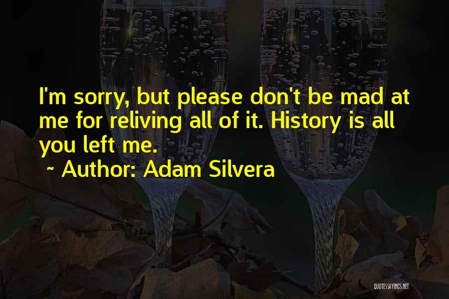 Shubal Stearns Quotes By Adam Silvera