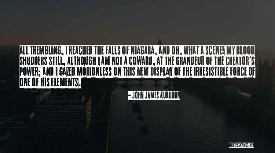 Shudders Quotes By John James Audubon Shudders Quotes By John James Audubon