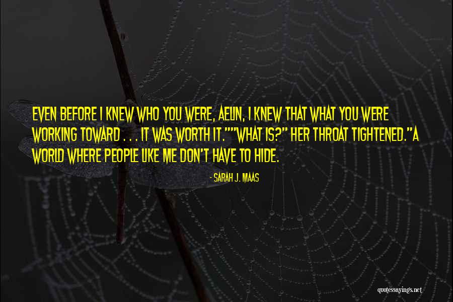 Shukhov Fighter Quotes By Sarah J. Maas Shukhov Fighter Quotes By Sarah J. Maas