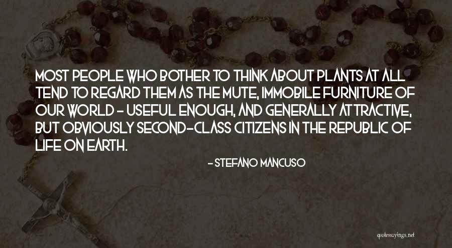 Shukran Ya Quotes By Stefano Mancuso Shukran Ya Quotes By Stefano Mancuso