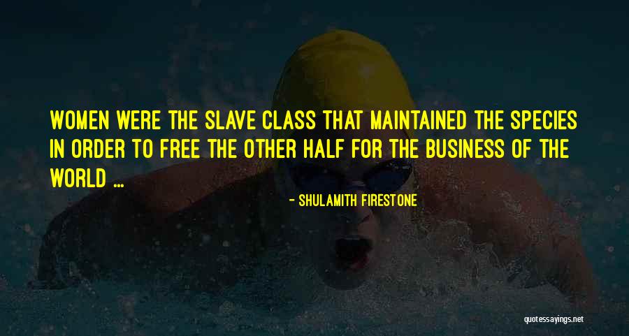 Shulamith Quotes By Shulamith Firestone Shulamith Quotes By Shulamith Firestone