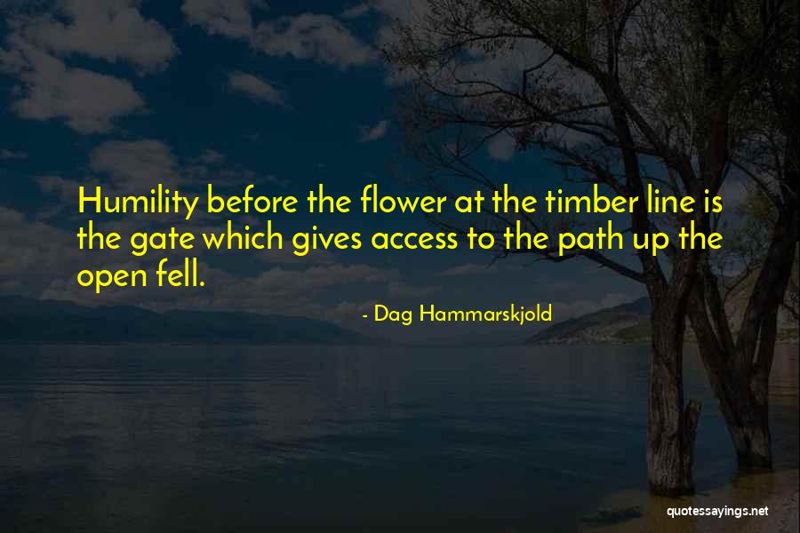 Shumba Valley Quotes By Dag Hammarskjold Shumba Valley Quotes By Dag Hammarskjold