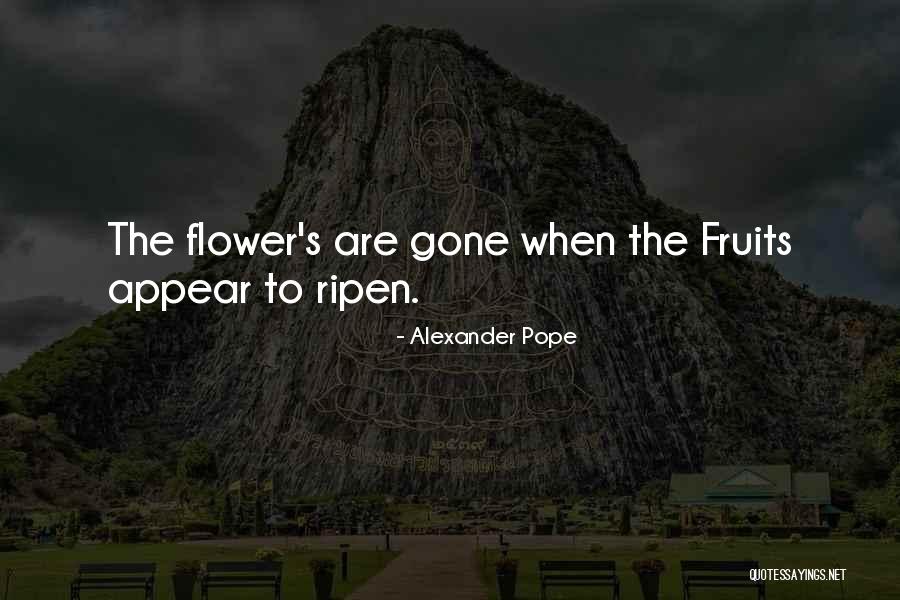 Shumita Basu Quotes By Alexander Pope Shumita Basu Quotes By Alexander Pope