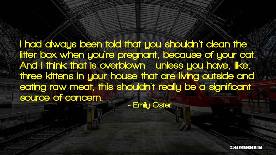 Shundria Shaffer Quotes By Emily Oster Shundria Shaffer Quotes By Emily Oster