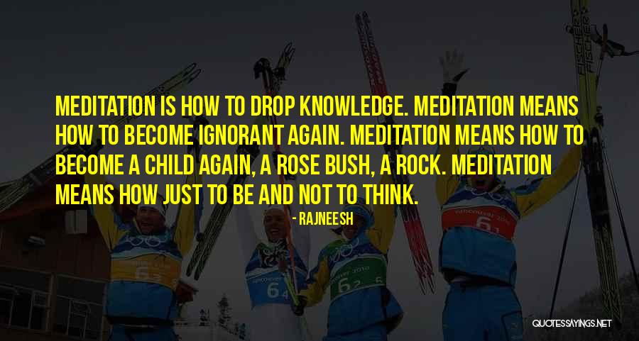 Shunji Igarashi Quotes By Rajneesh Shunji Igarashi Quotes By Rajneesh