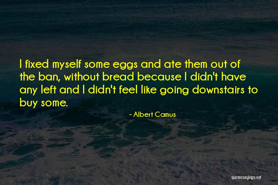 Shunock Quotes By Albert Camus Shunock Quotes By Albert Camus