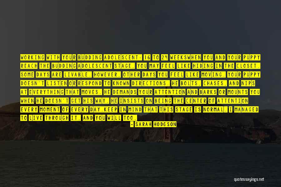 Shunpeita Quotes By Sarah Hodgson Shunpeita Quotes By Sarah Hodgson