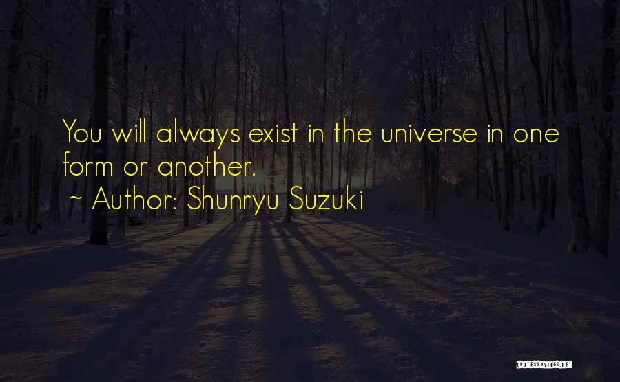 Shunryu Suzuki Quotes 1033682