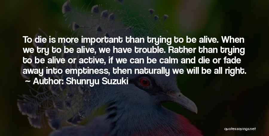 Shunryu Suzuki Quotes 1371583