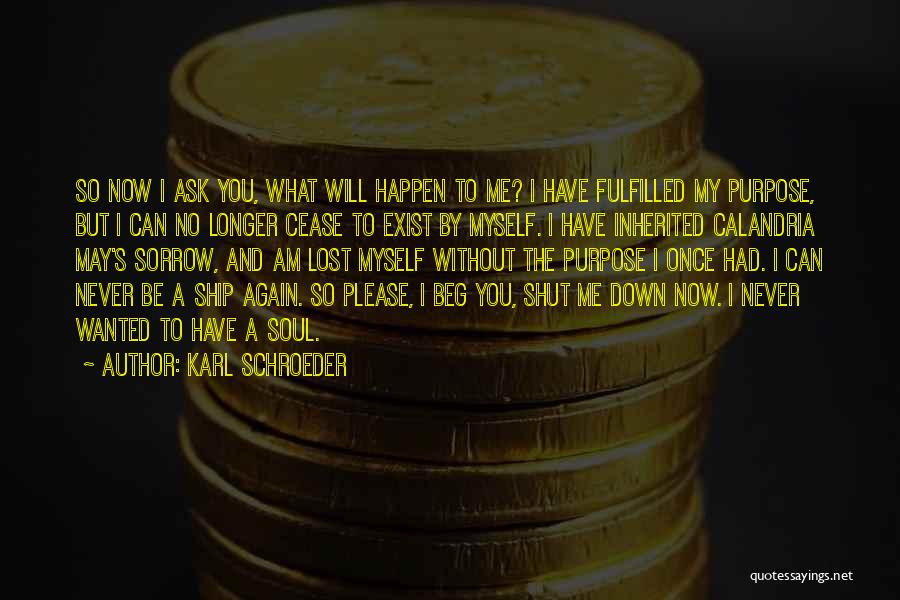 Shut Me Down Quotes By Karl Schroeder