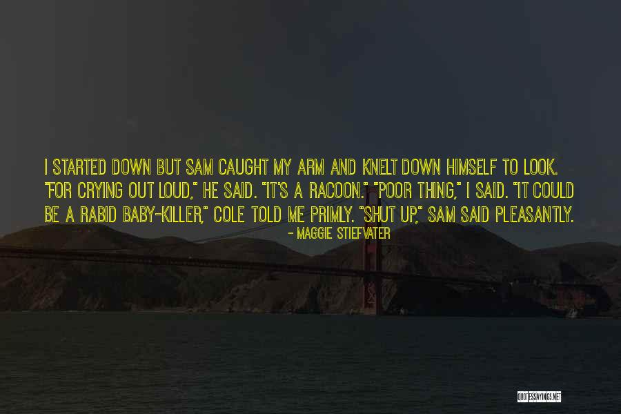 Shut Me Down Quotes By Maggie Stiefvater