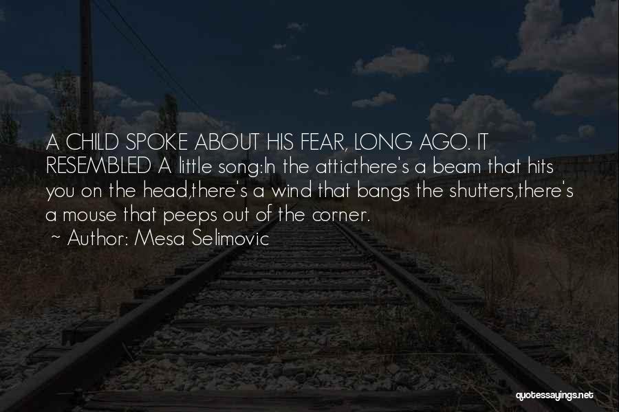 Shutters Quotes By Mesa Selimovic