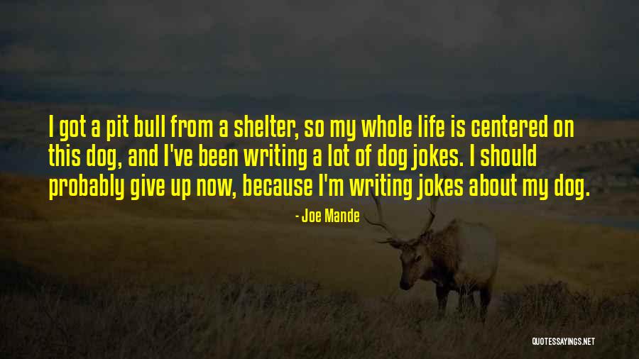 Shuttling Of Charges Quotes By Joe Mande Shuttling Of Charges Quotes By Joe Mande