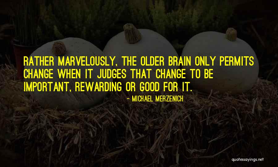 Shuvra Das Quotes By Michael Merzenich Shuvra Das Quotes By Michael Merzenich