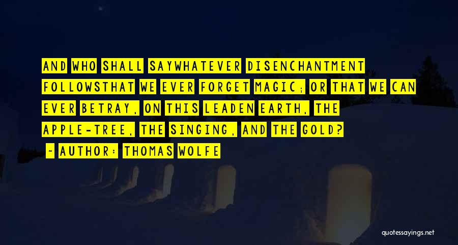 Shvaticete Quotes By Thomas Wolfe